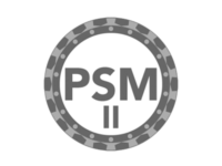 Professional Scrum Master II Training